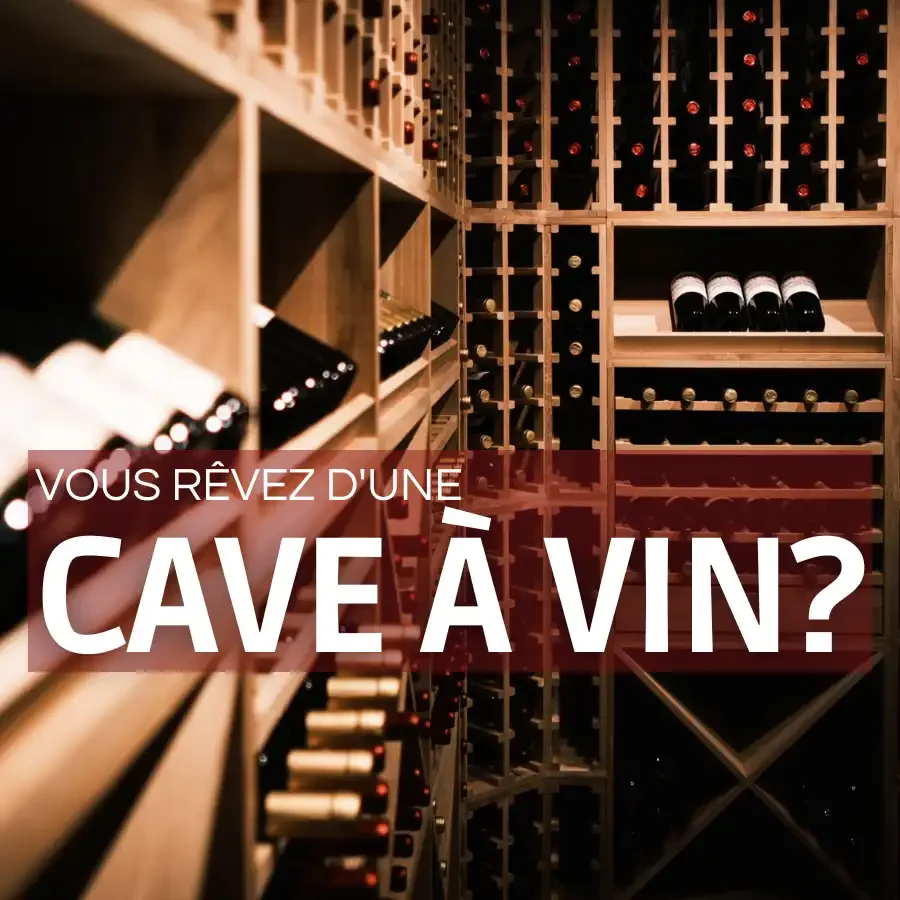 Caves à vin 2 zones - Achetez en ligne à petit prix
