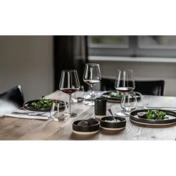 Zwiesel Glas - Vervino - Vand glas (4 stk.)