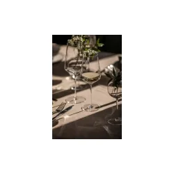Zwiesel Glas - Duo - Allround (2 stk.)
