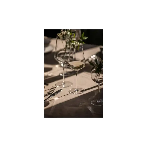 Zwiesel Glas - Duo - Allround (2 stk.)