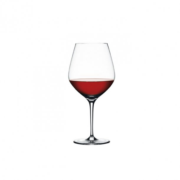 Spiegelau Authentis - Bourgogneglas (4 stk.)