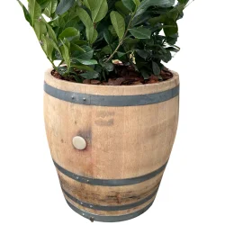 3/4 vintnde 225 liter - fransk eg - brugt