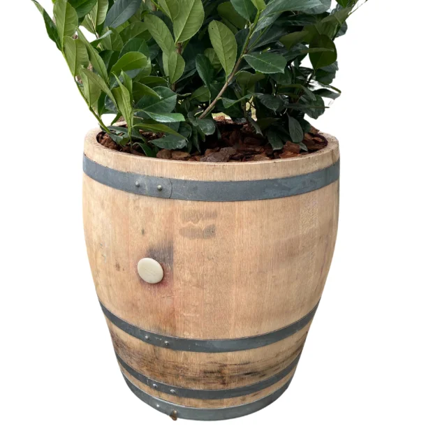 3/4 vintnde 225 liter - fransk eg - brugt