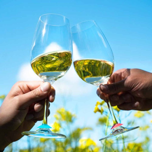 L'Atelier du Vin - Chic Glass Rainbow - Glasmrker