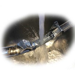 Vagnbys- Hvidlgspresser - GarlicXpress