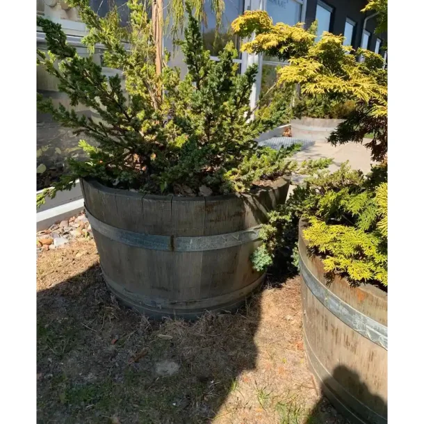 Vintnde st i 3 strrelser - fransk eg - brugt