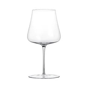 BRYNA - Set 6 Pezzi Bicchieri Calice Vino 33 Cl in Policarbonato (Plastica  Rigida), 100% Design Italiano, Bicchieri Infrangibili, Calici Vino