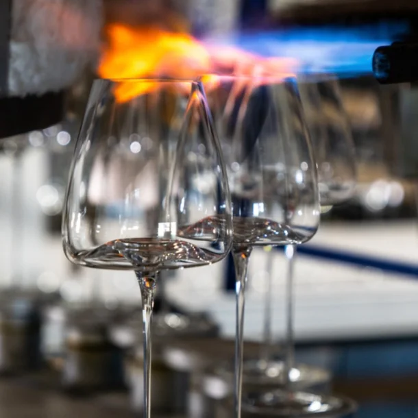 Zieher Vision - Intense - 2 stk