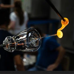 Zieher Vision - Intense - 2 stk