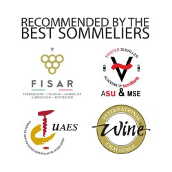 Pulltex - AntiOx - Champagne Stopper - Sort/Guld